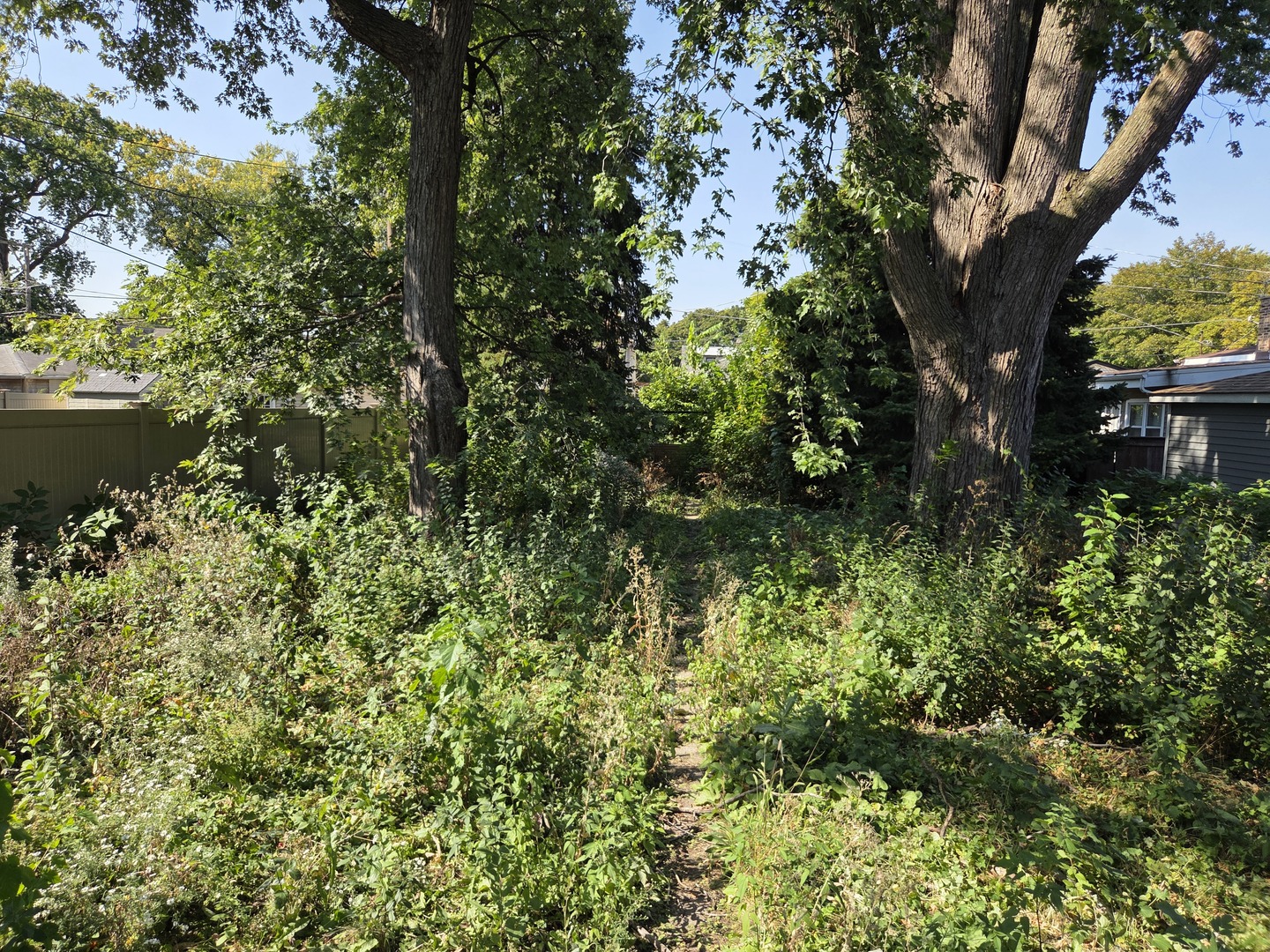 MLS #MRD12481684 image #16