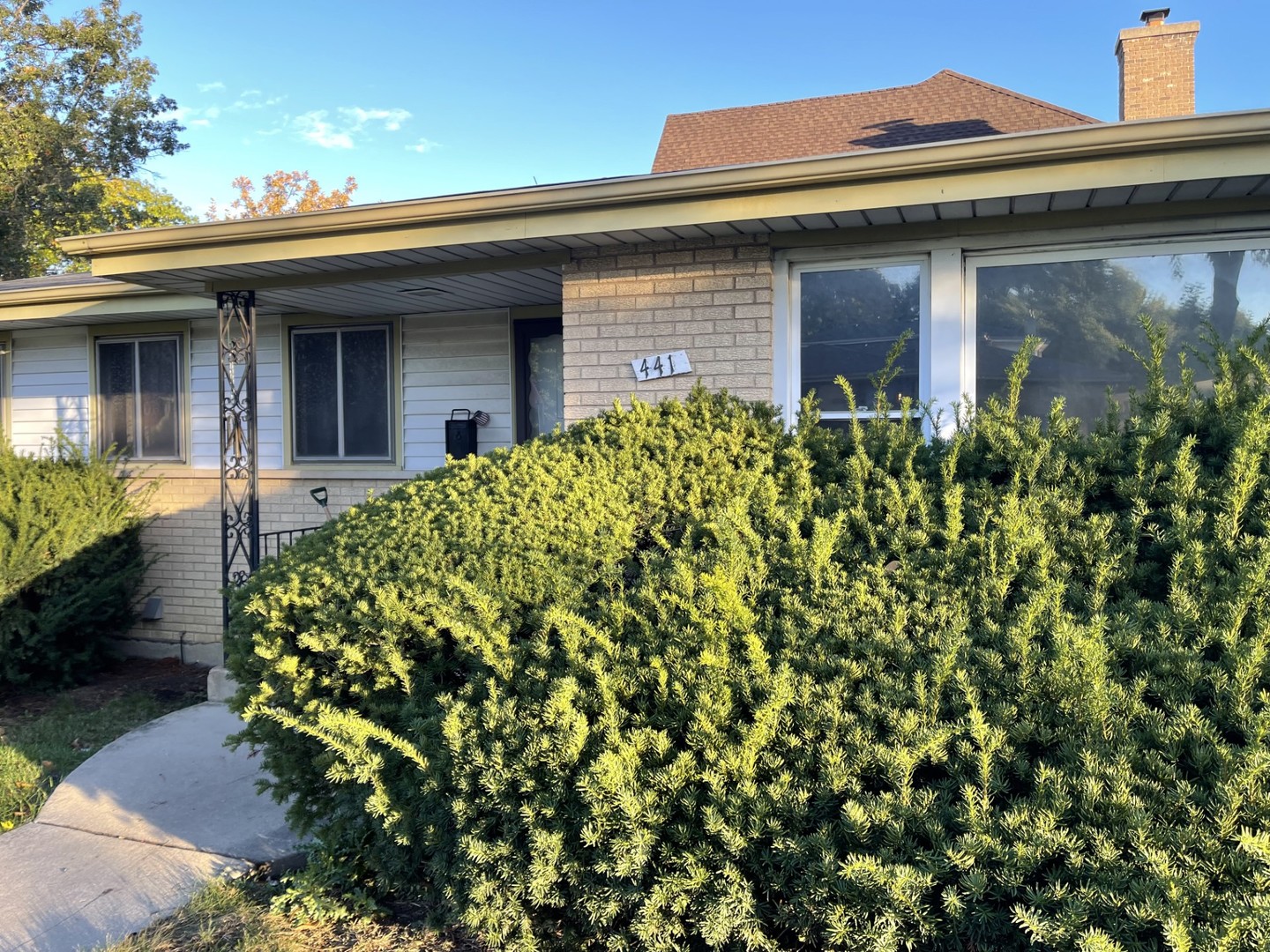 441 E adams Street Elmhurst IL 60126 MLS #MRD12501317 45 MLS #MRD12501317 image #0