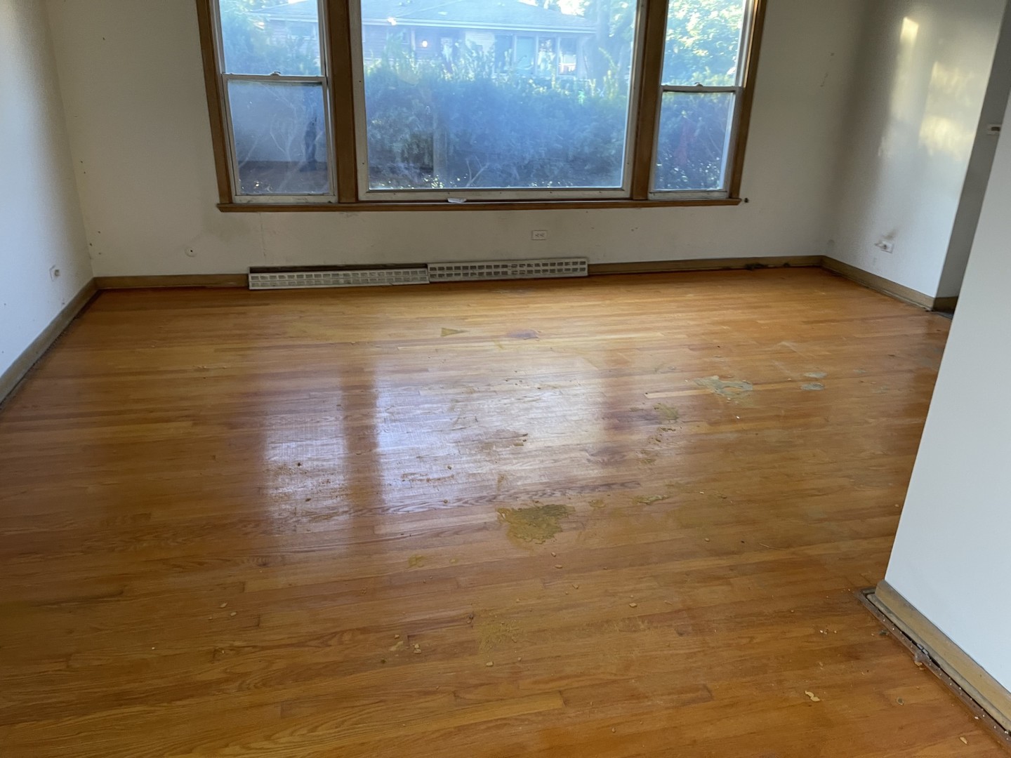 MLS #MRD12501317 image #5