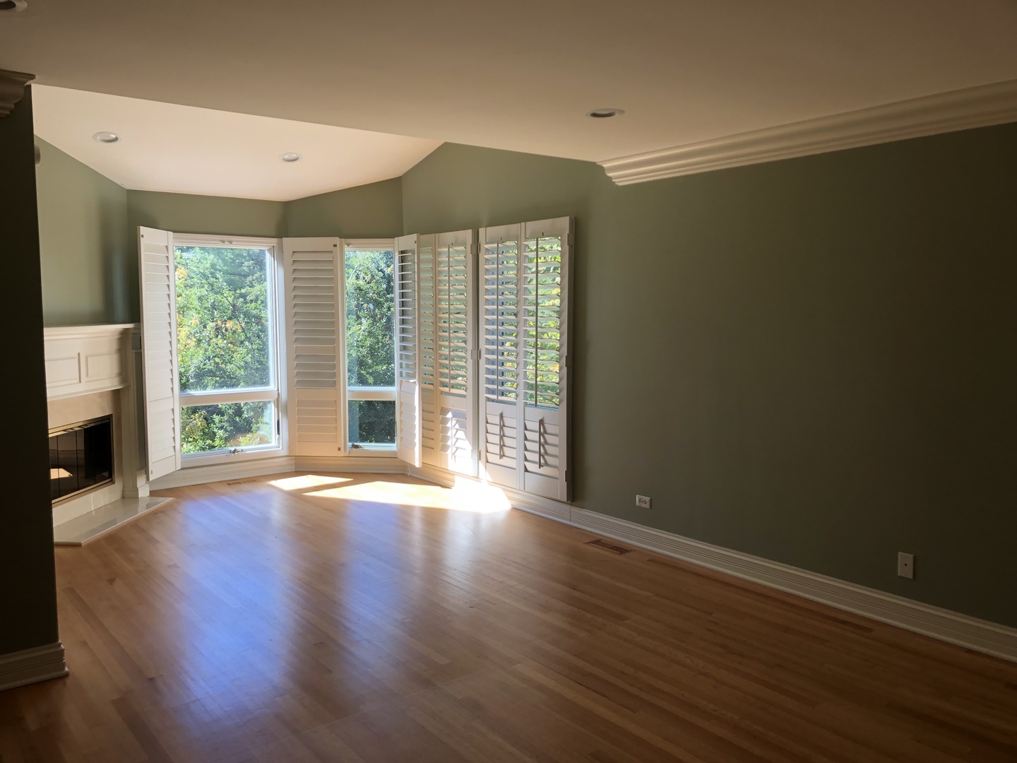 MLS #MRD12504206 image #7