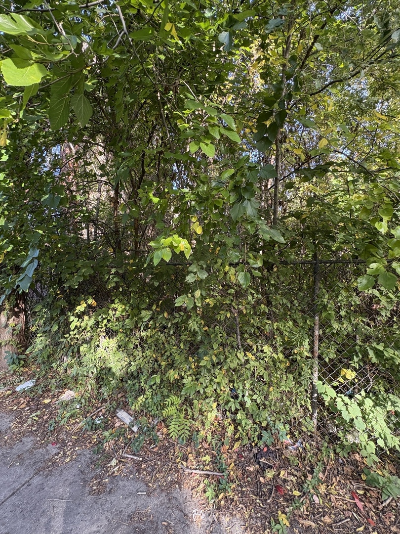 MLS #MRD12506784 image #1