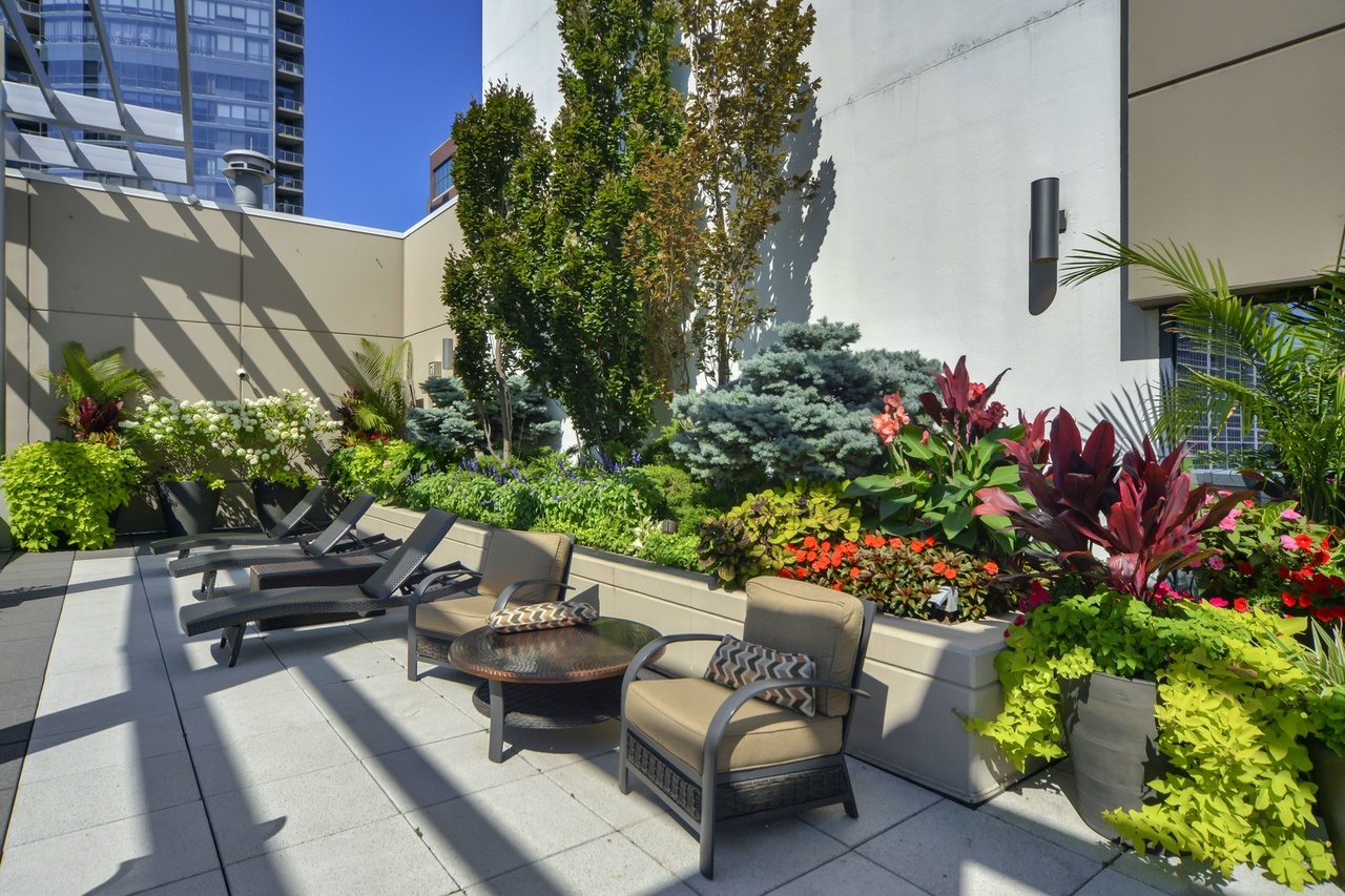 MLS #MRD12509356 image #25