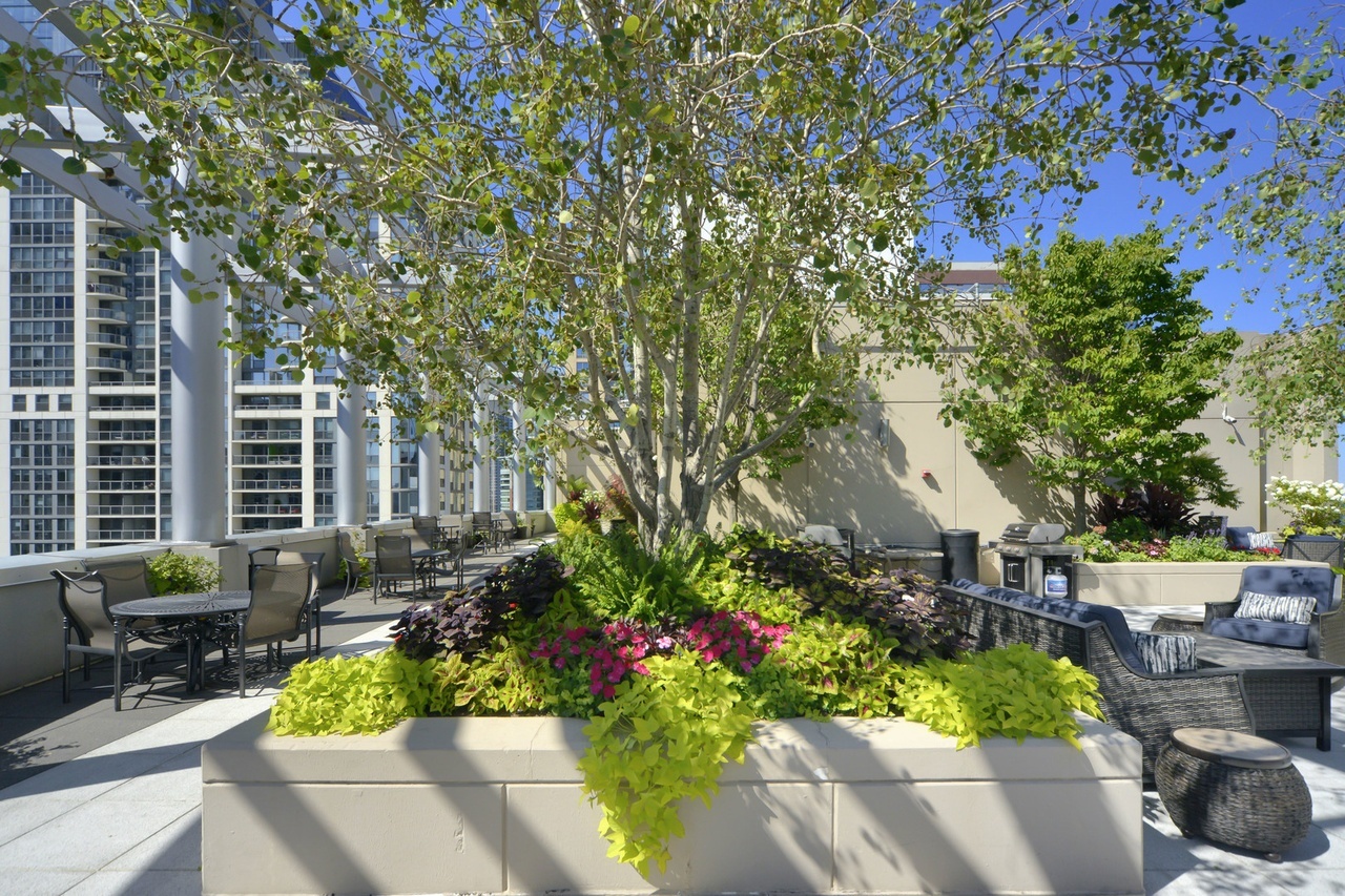 MLS #MRD12509356 image #27