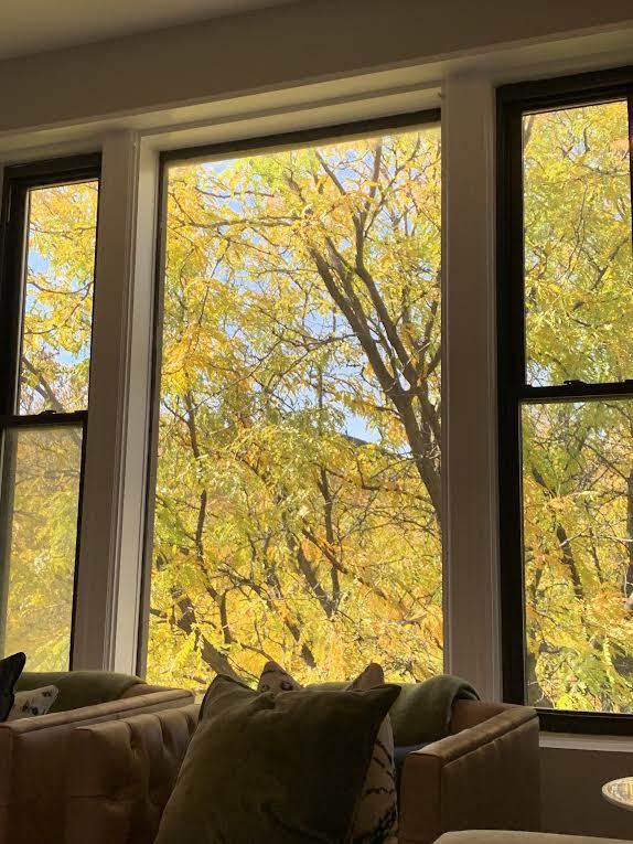 MLS #MRD12514421 image #12