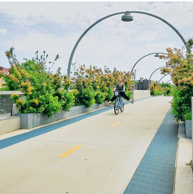 MLS #MRD12518494 image #26