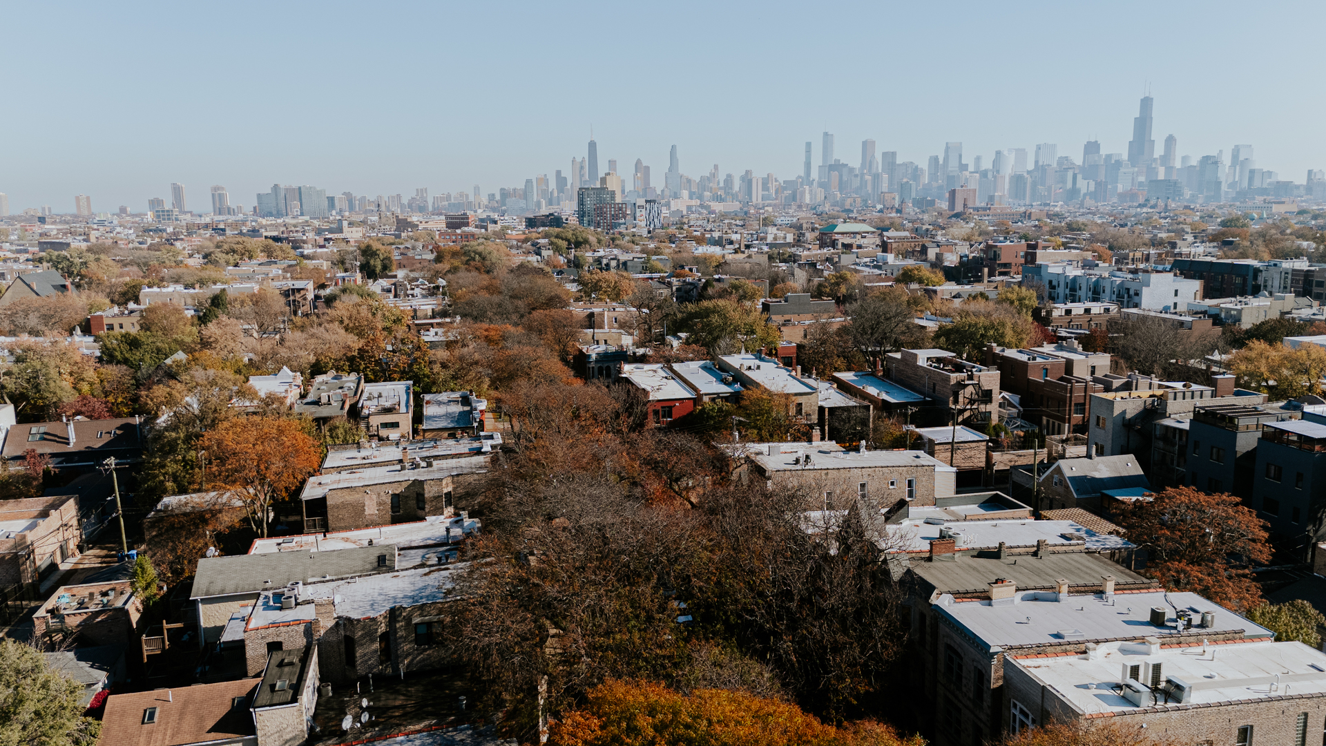 MLS #MRD12519177 image #6