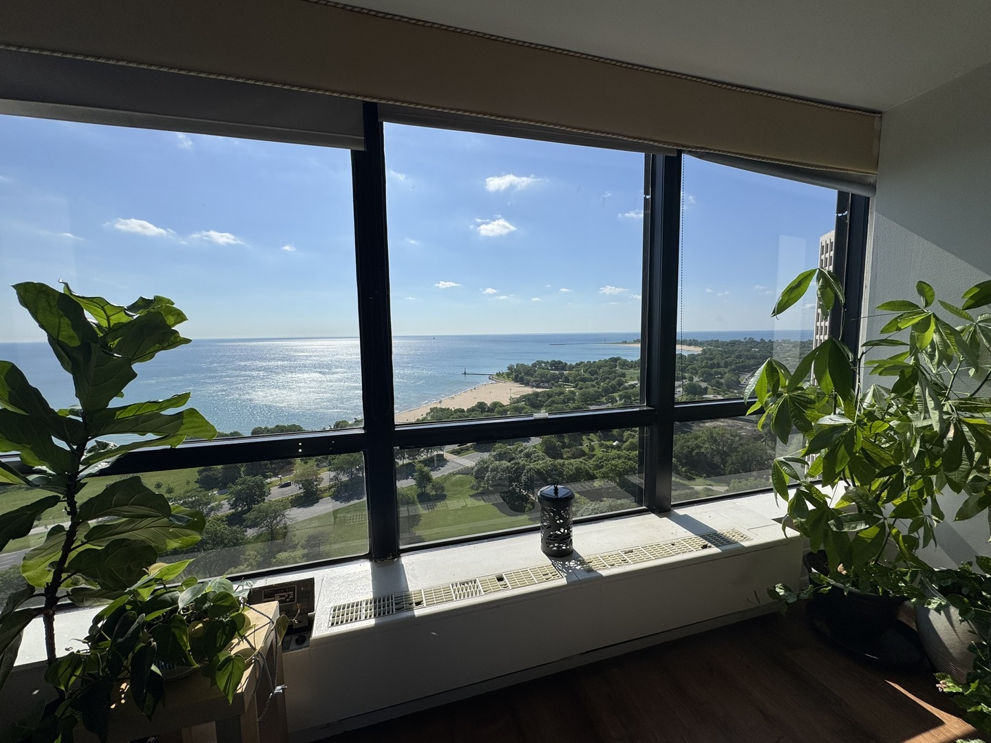 MLS #MRD12527275 image #5