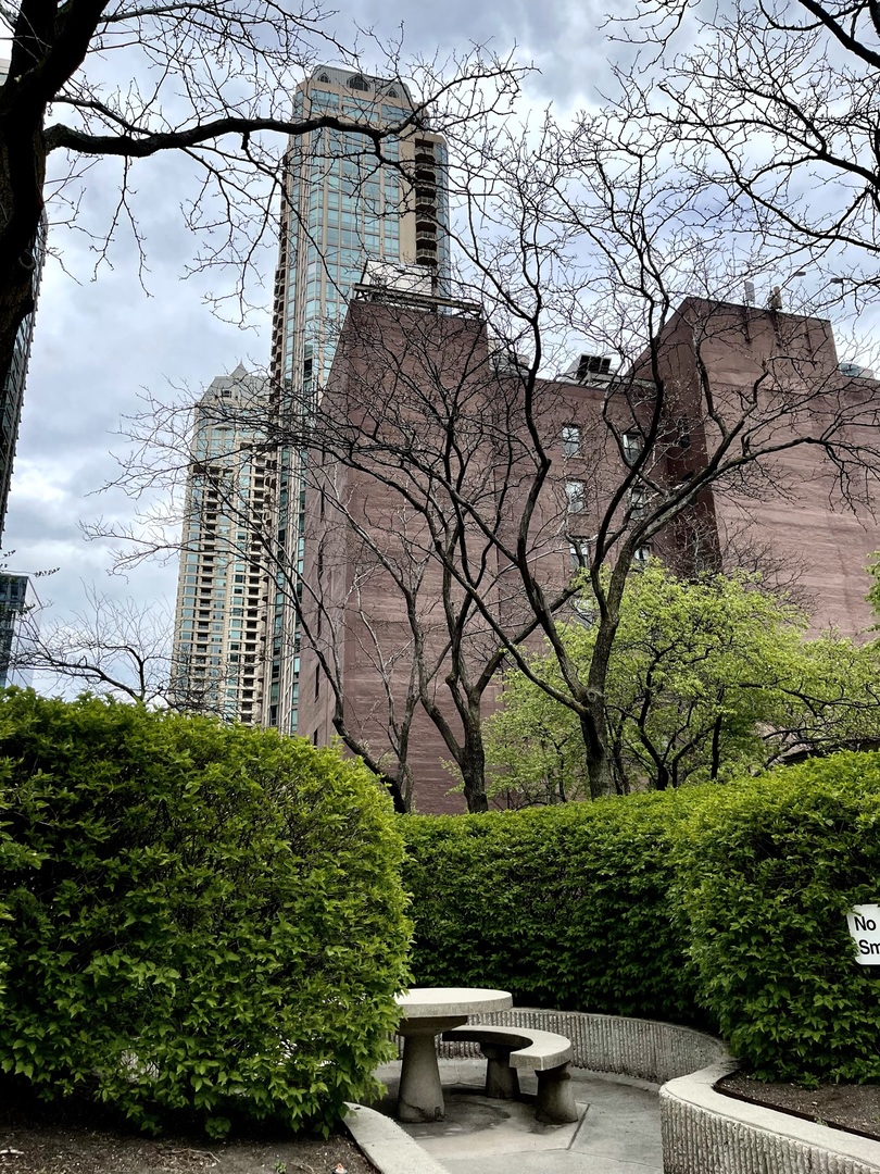 MLS #MRD12527400 image #16