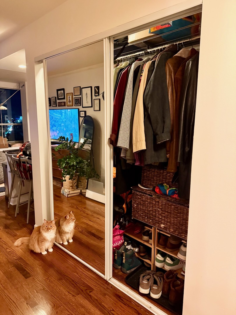 MLS #MRD12527507 image #12