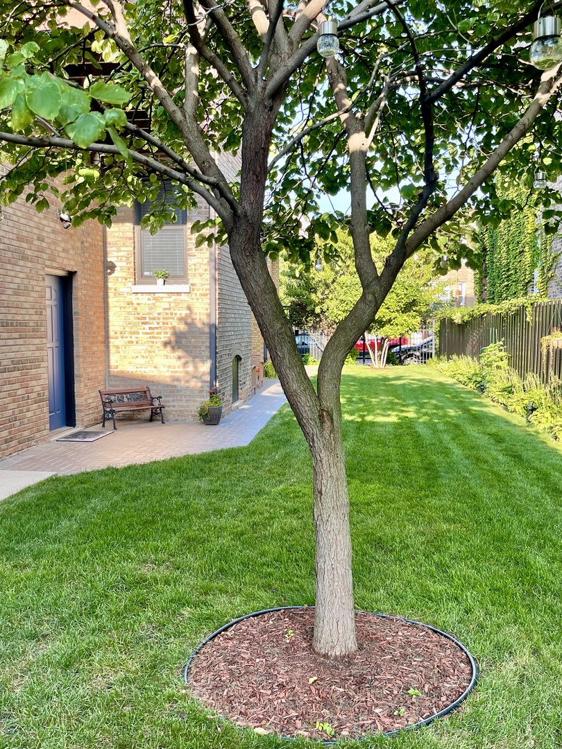 MLS #MRD12527771 image #25