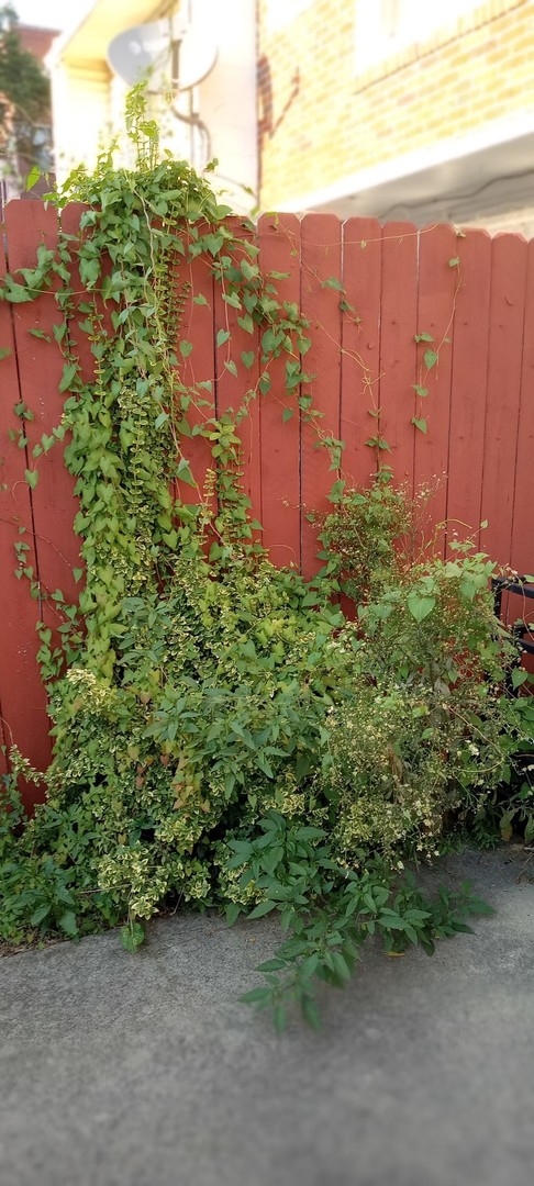 MLS #MRD12527926 image #1