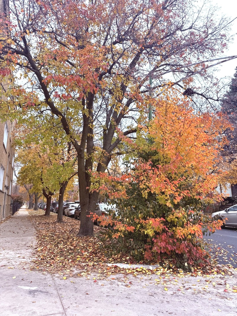 MLS #MRD12528407 image #2