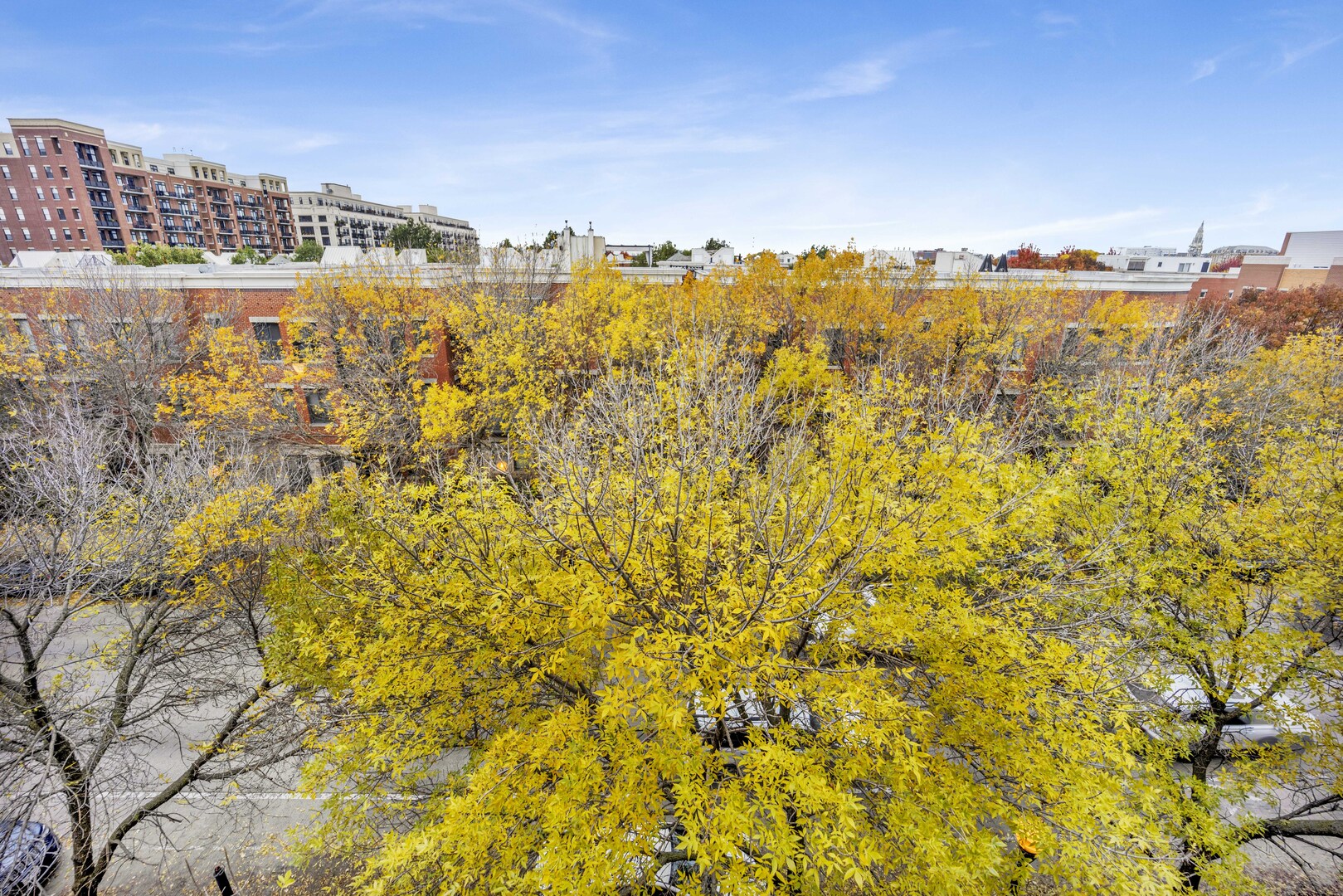 MLS #MRD12528632 image #30