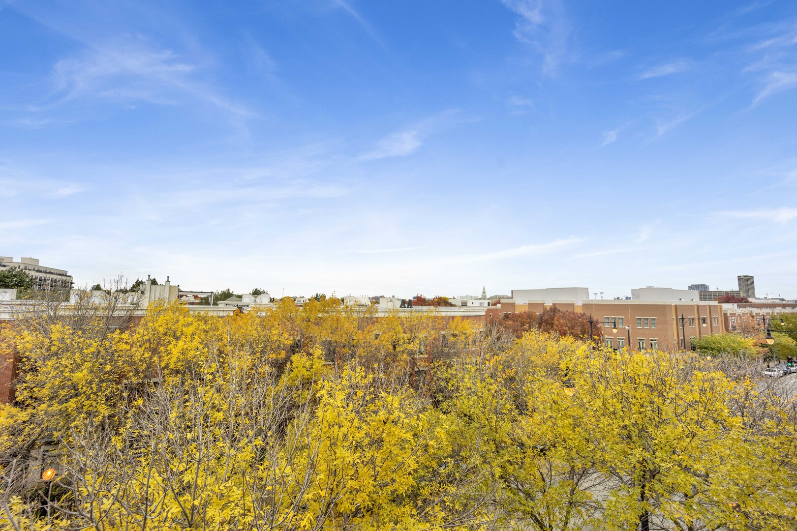 MLS #MRD12528632 image #31