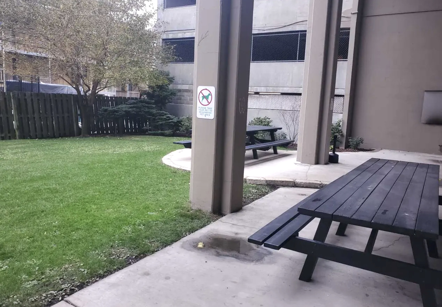 MLS #MRD12531624 image #15