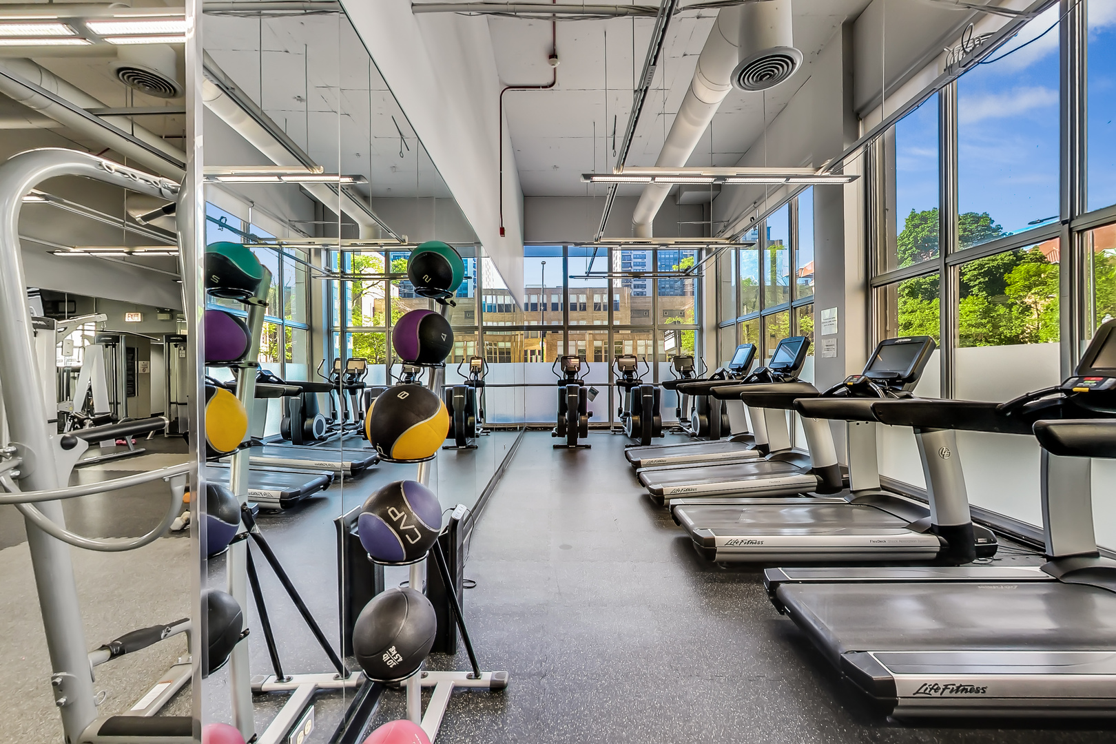 MLS #MRD12533061 image #19