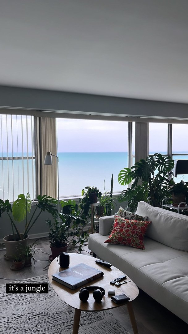 MLS #MRD12535017 image #9