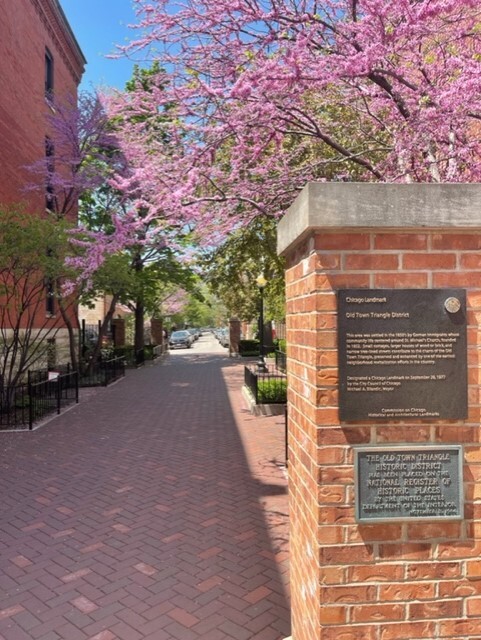 MLS #MRD12535076 image #22