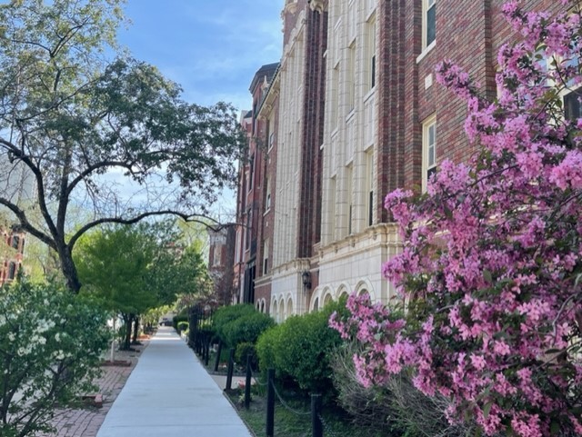 MLS #MRD12536811 image #20