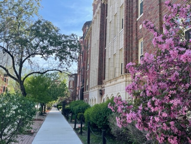 MLS #MRD12536813 image #21