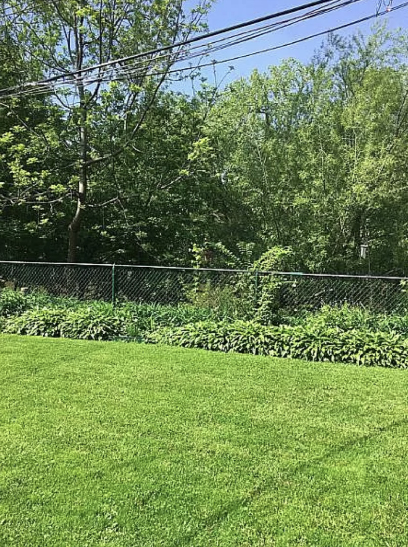 MLS #MRD12538017 image #22