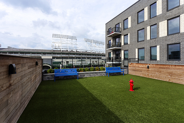 MLS #MRD12546056 image #4