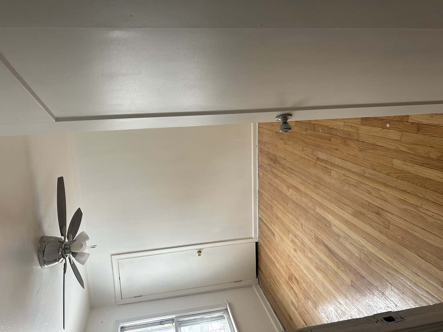 MLS #MRD12568819 image #5