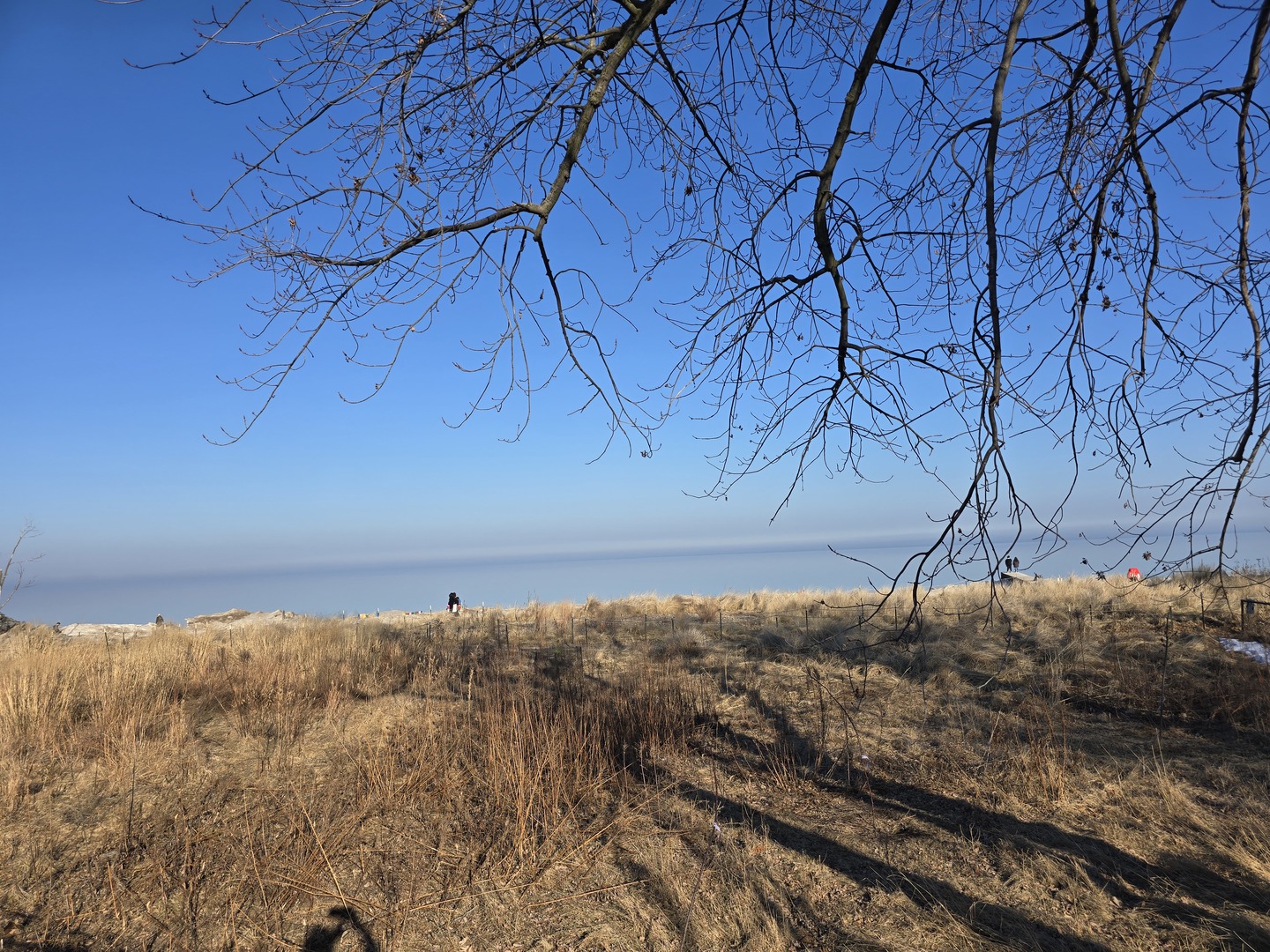 MLS #MRD12550258 image #1