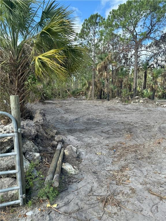 MLS #224053597 image #2