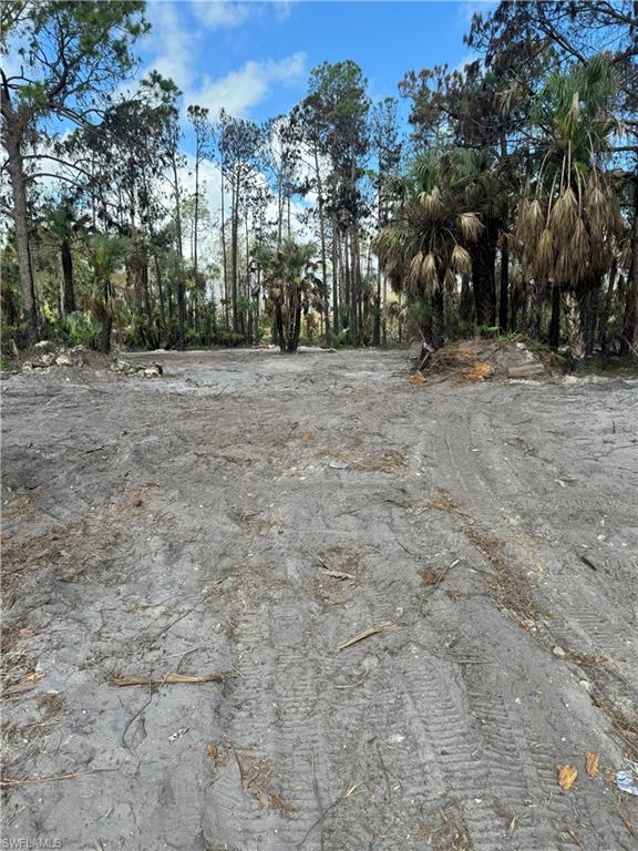 MLS #224053597 image #3