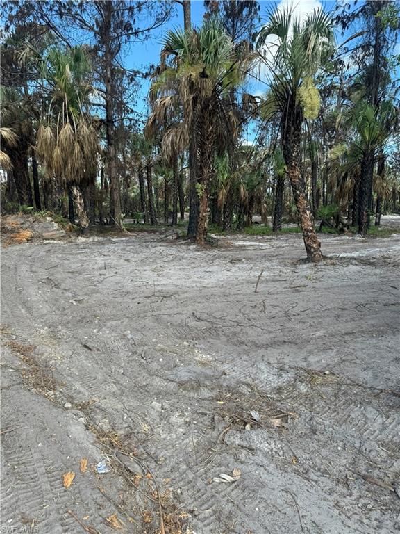 MLS #224053597 image #4