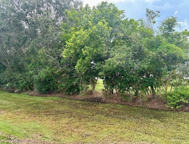 MLS #224067754 image #3