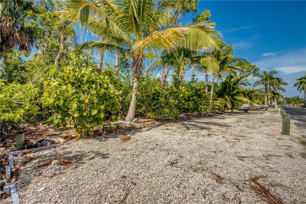 MLS #225061173 image #45