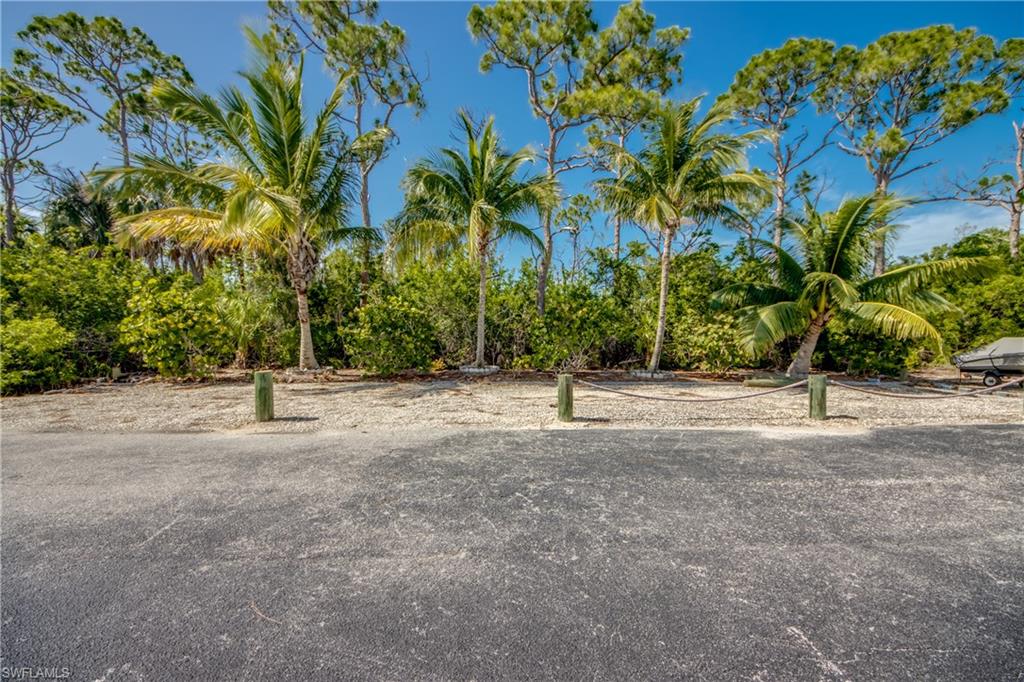 MLS #225061173 image #46