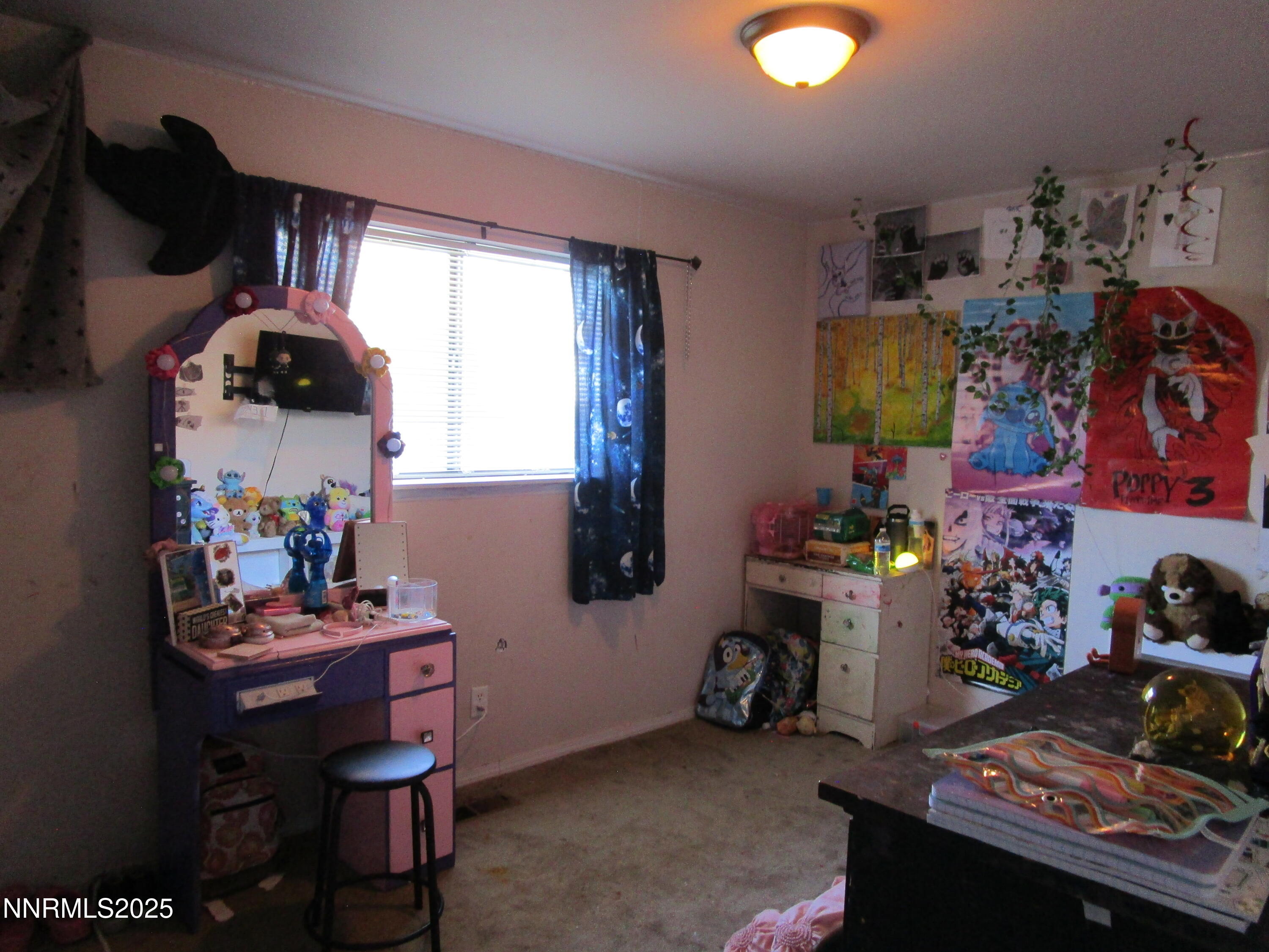 MLS #250054803 image #30