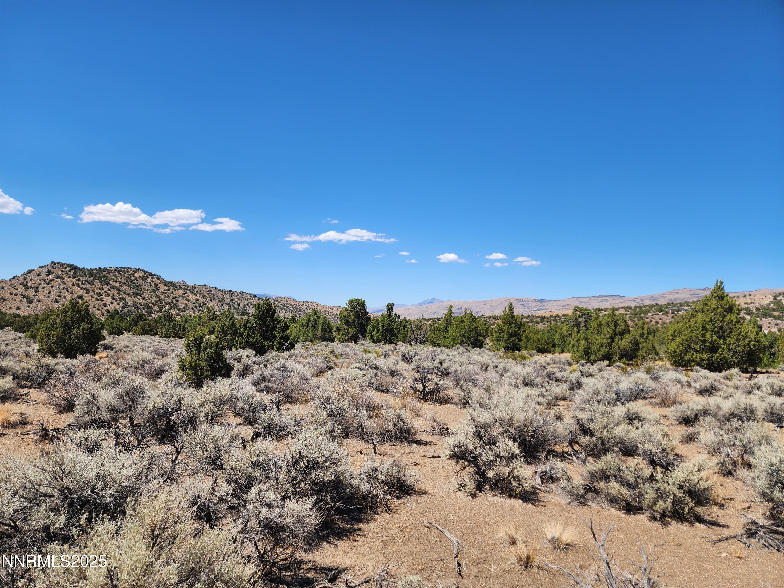 MLS #250056077 image #10