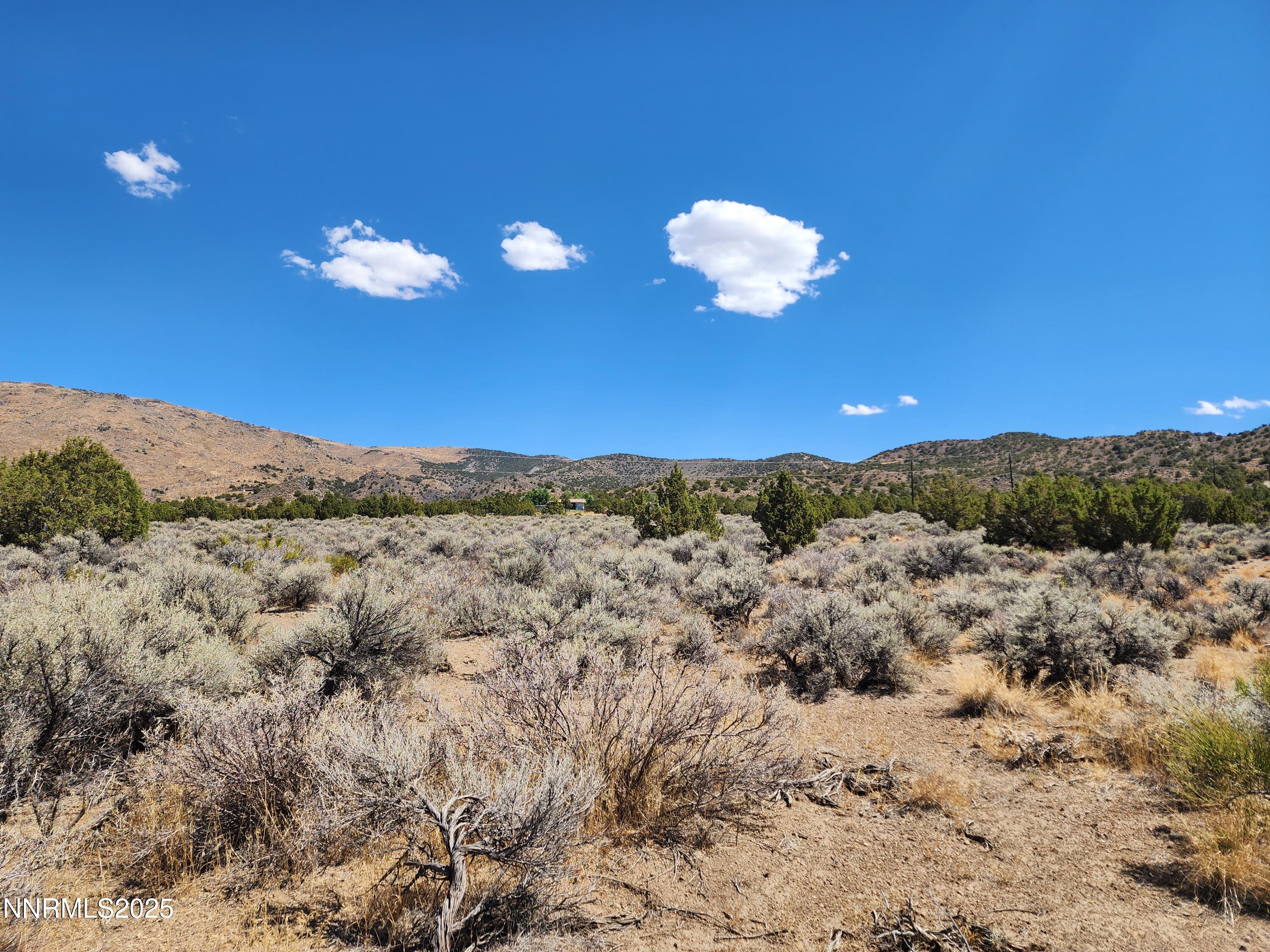 MLS #250056077 image #11