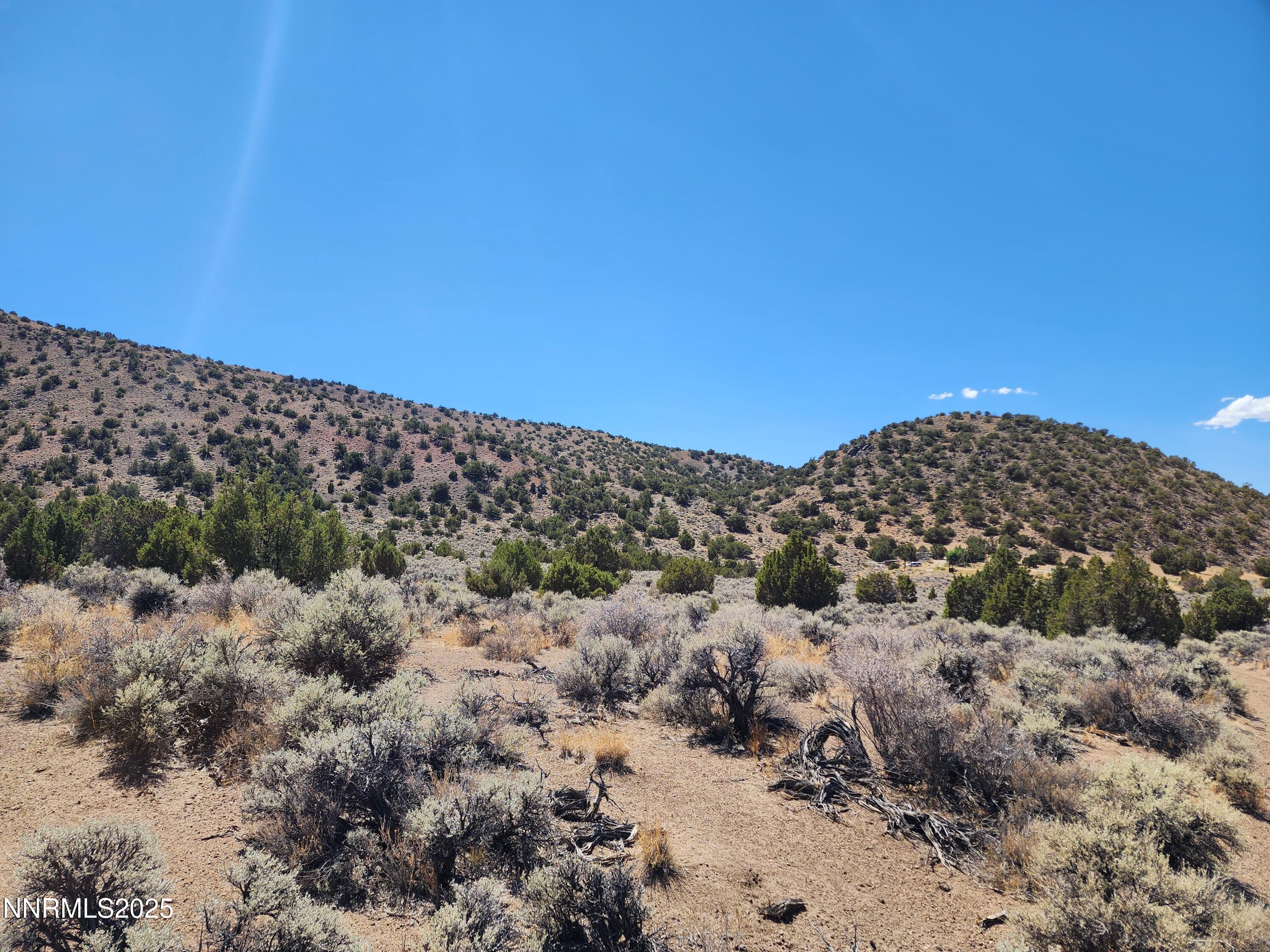 MLS #250056077 image #9