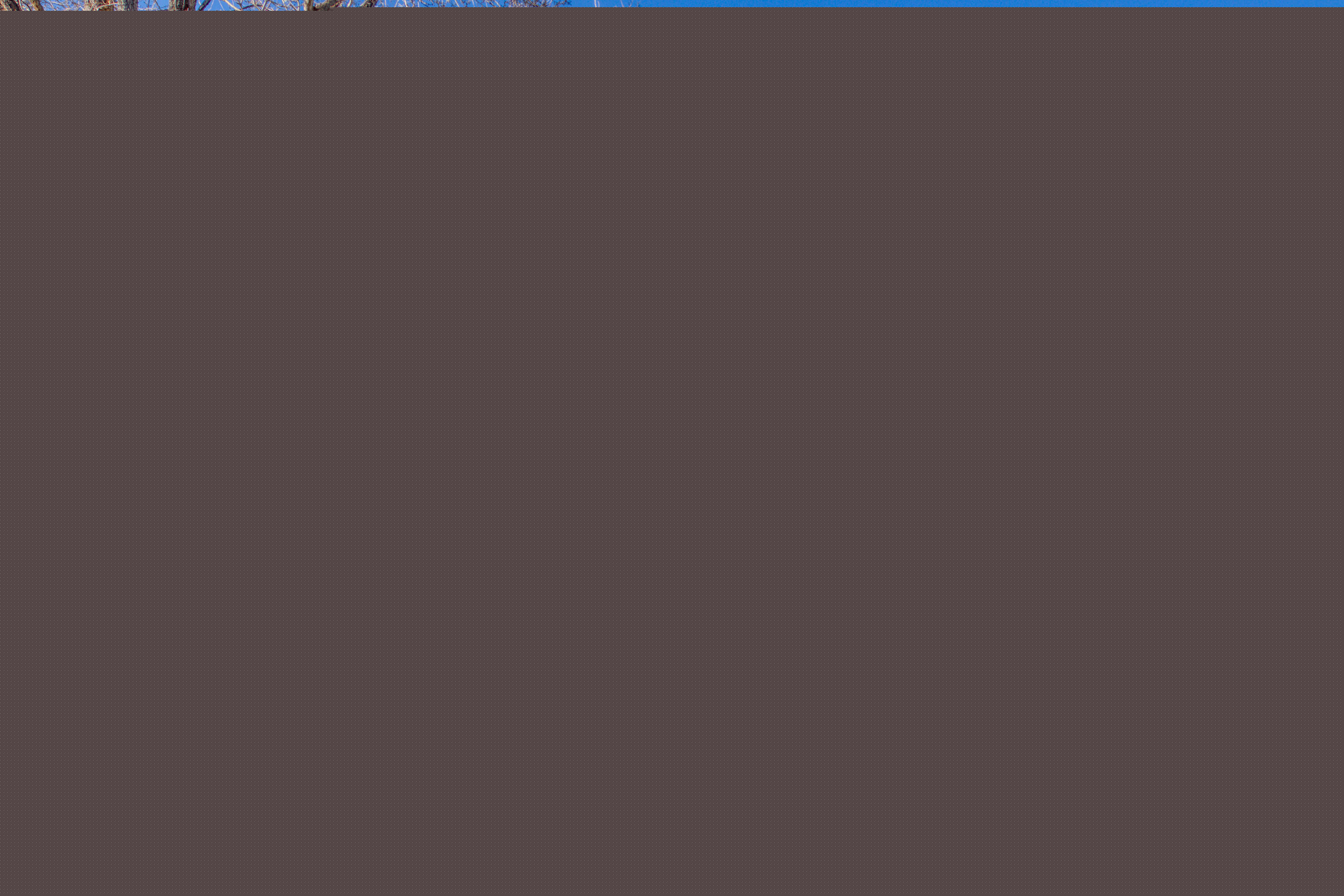 MLS #260000617 image #2