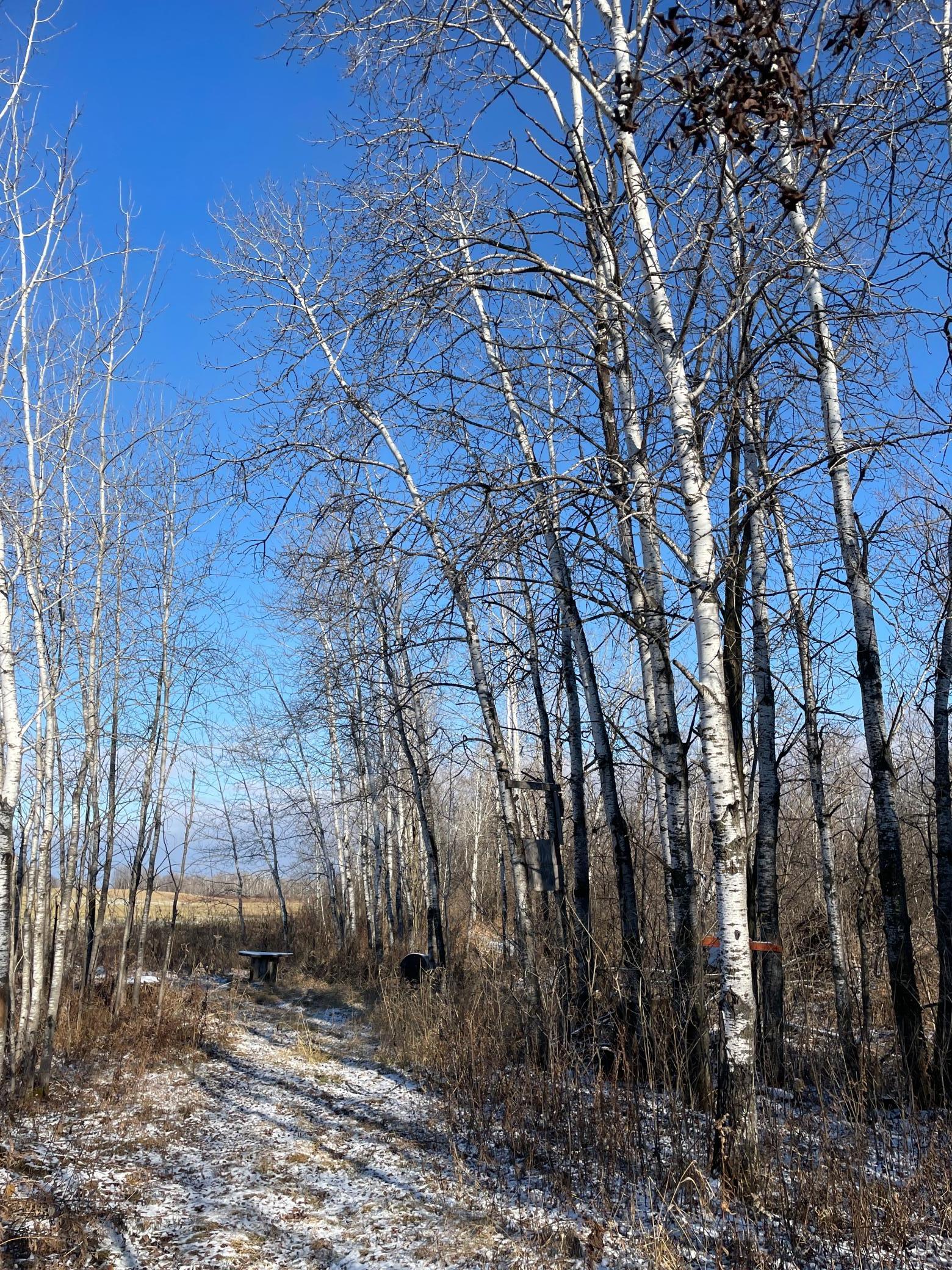 MLS #NST6634828 img 3