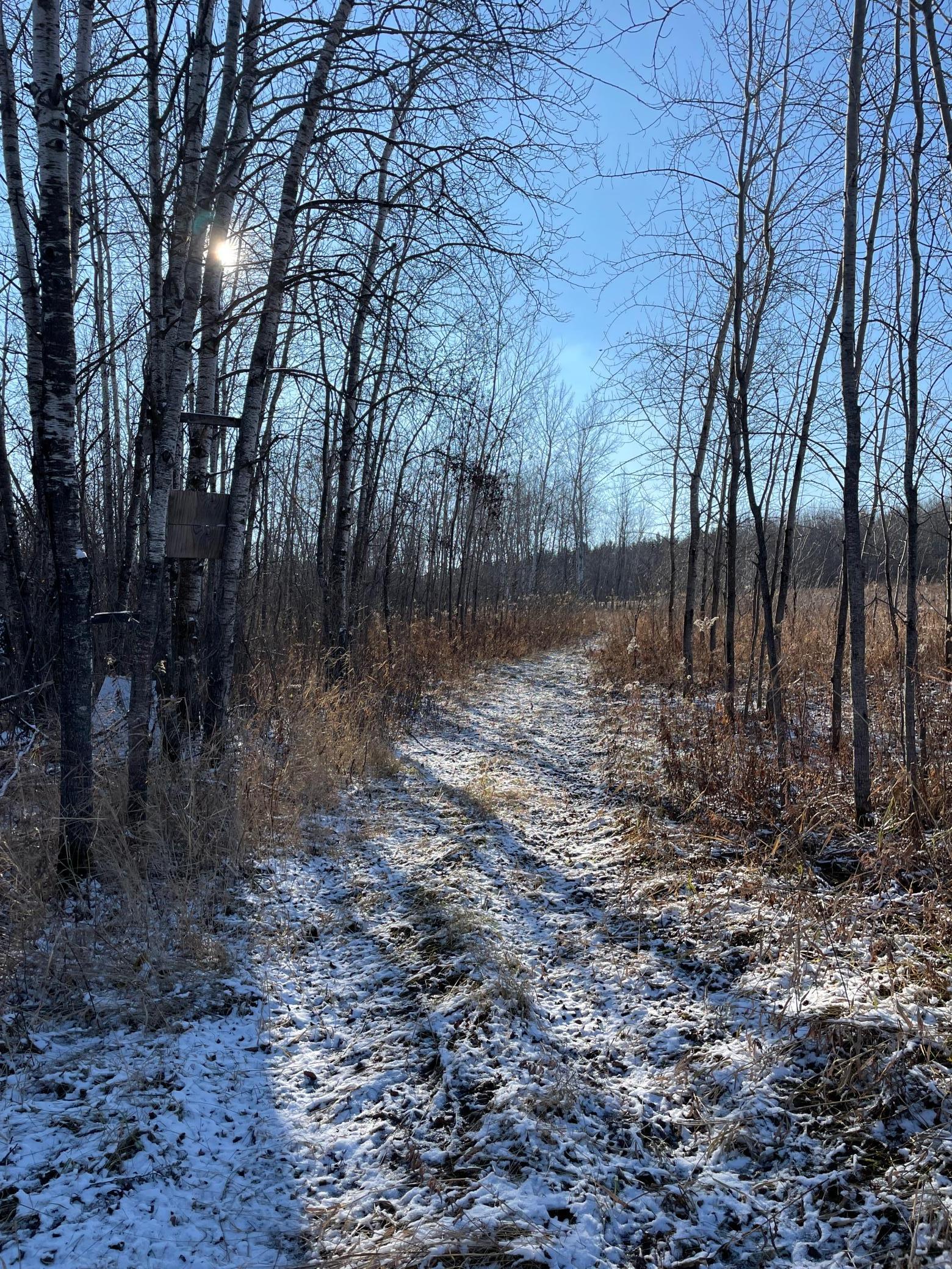 MLS #NST6634828 img 6