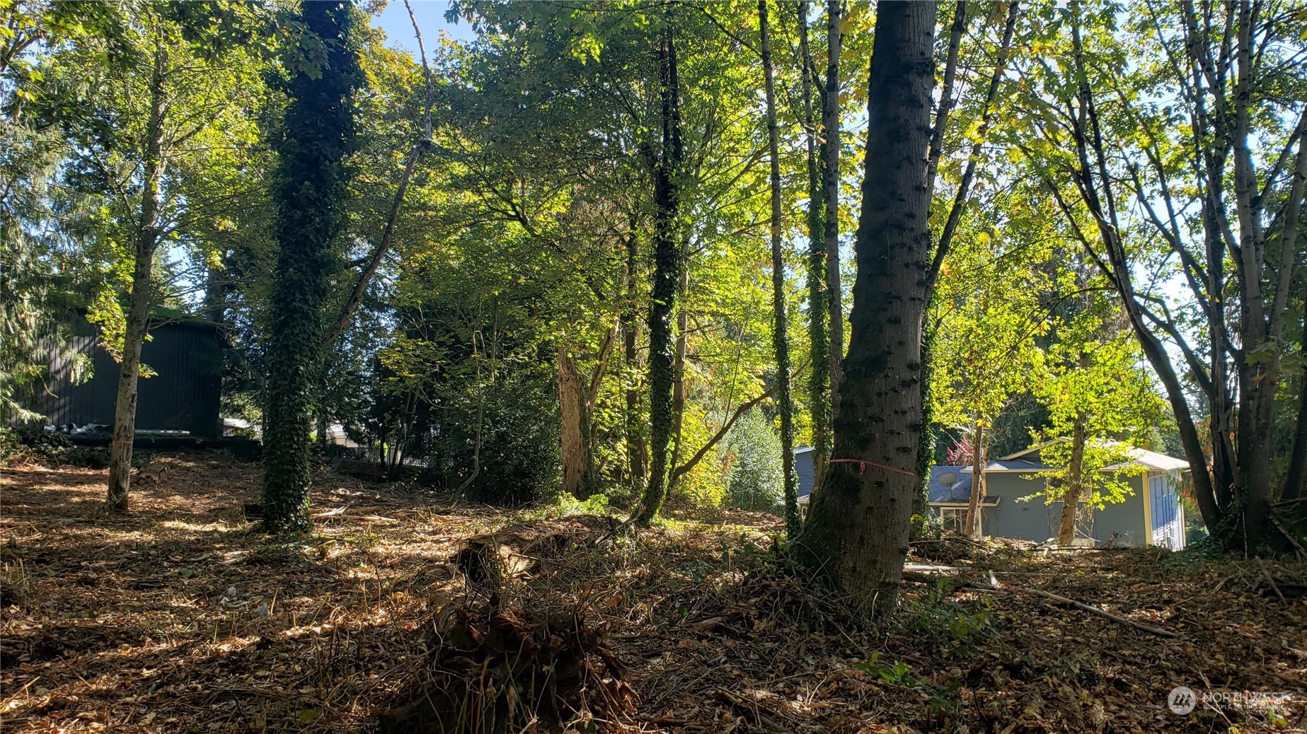 MLS #NWM2230616 image #15