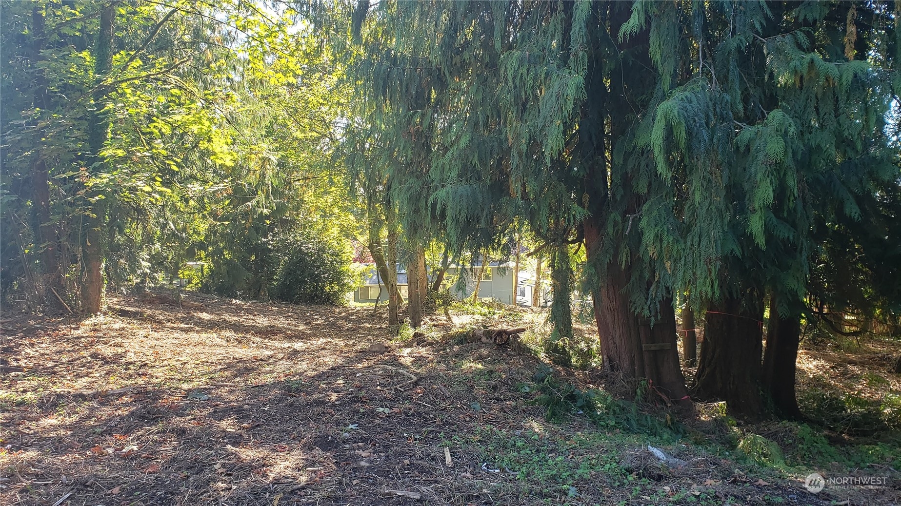 MLS #NWM2230616 image #19