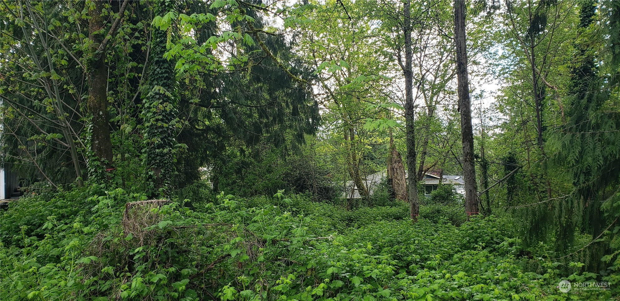 MLS #NWM2230616 image #20