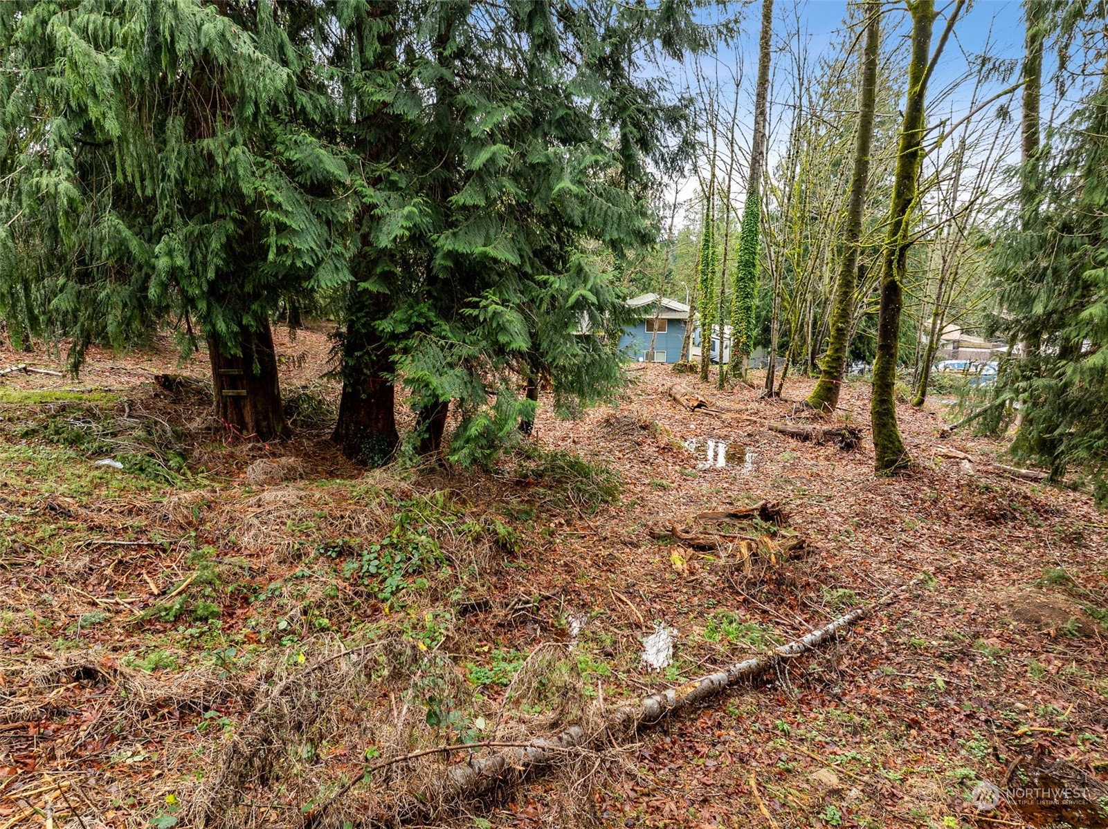 MLS #NWM2230616 image #22