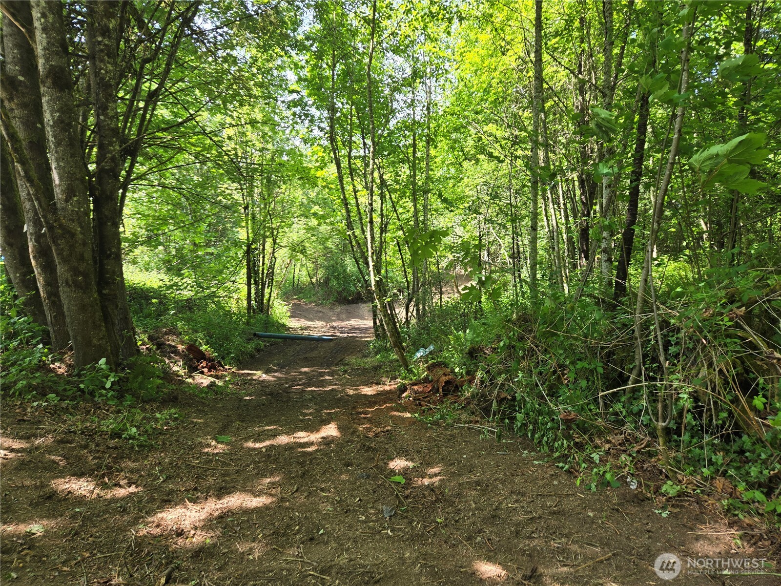 MLS #NWM2377337 image #10