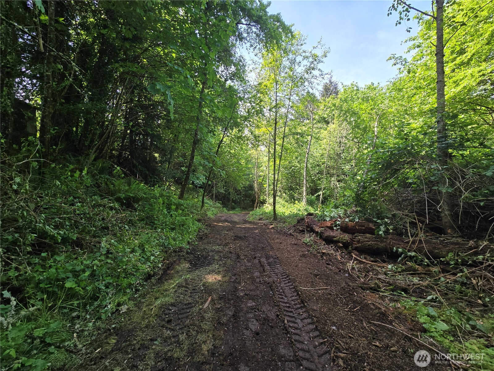 MLS #NWM2377337 image #12