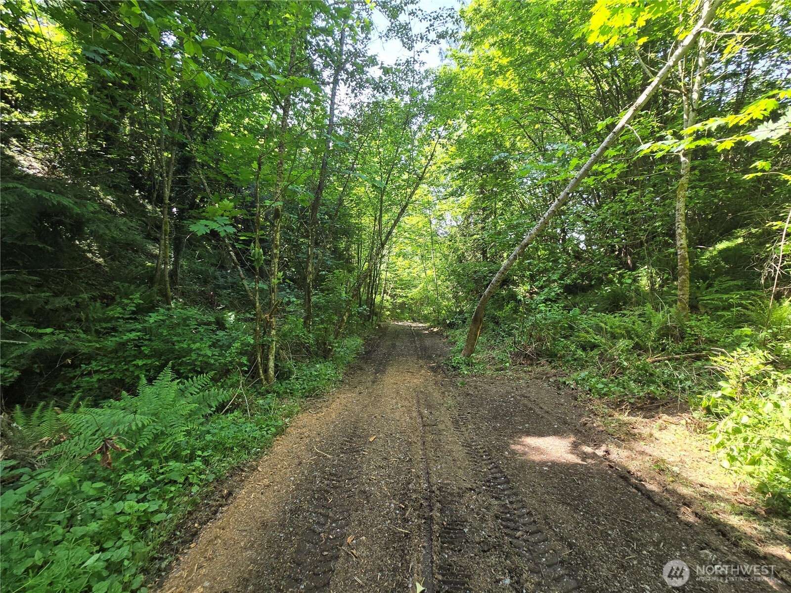 MLS #NWM2377337 image #13