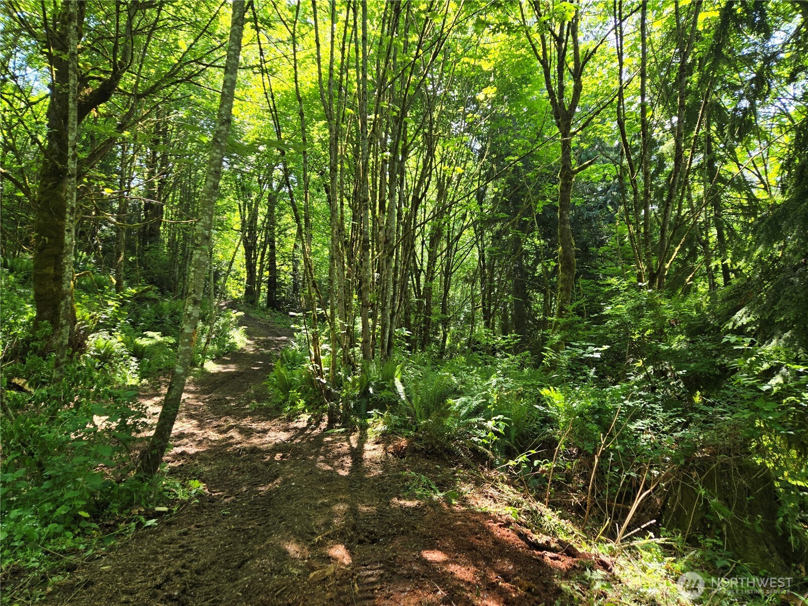 MLS #NWM2377337 image #14