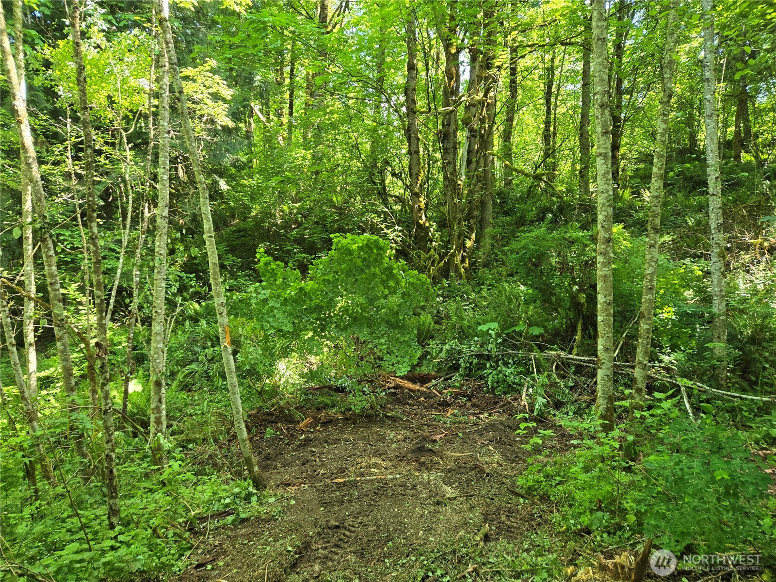 MLS #NWM2377337 image #15